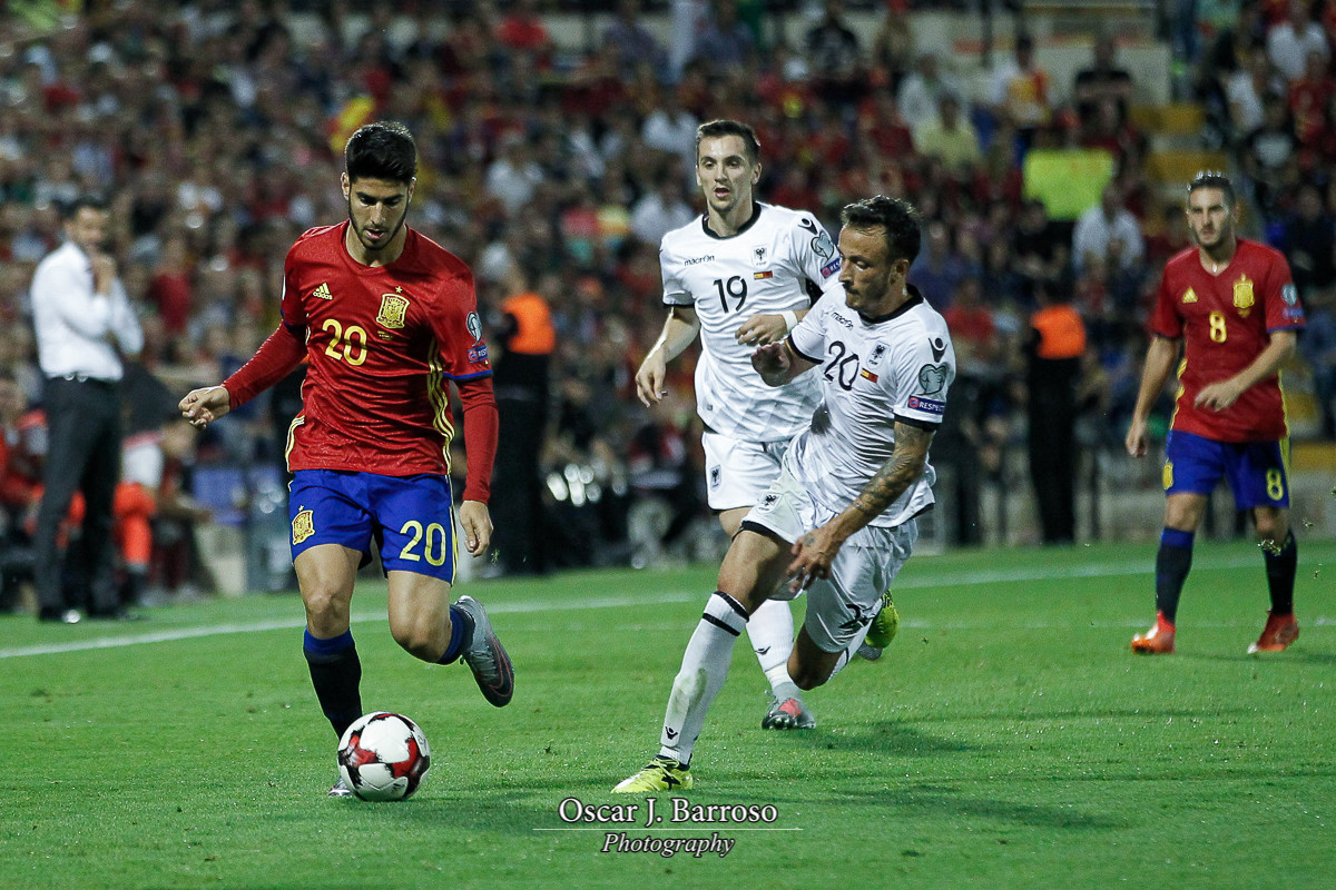AFP7_WCQ_SPAIN_V_ALBANIA-OJB-061